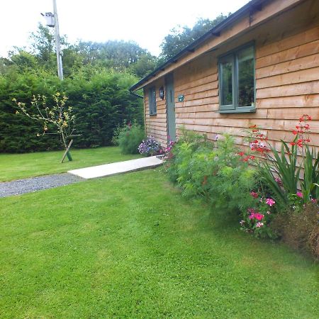 The Potting Shed And The Garden Shed Self Catering Villa Carmarthen Esterno foto