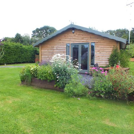 The Potting Shed And The Garden Shed Self Catering Villa Carmarthen Esterno foto