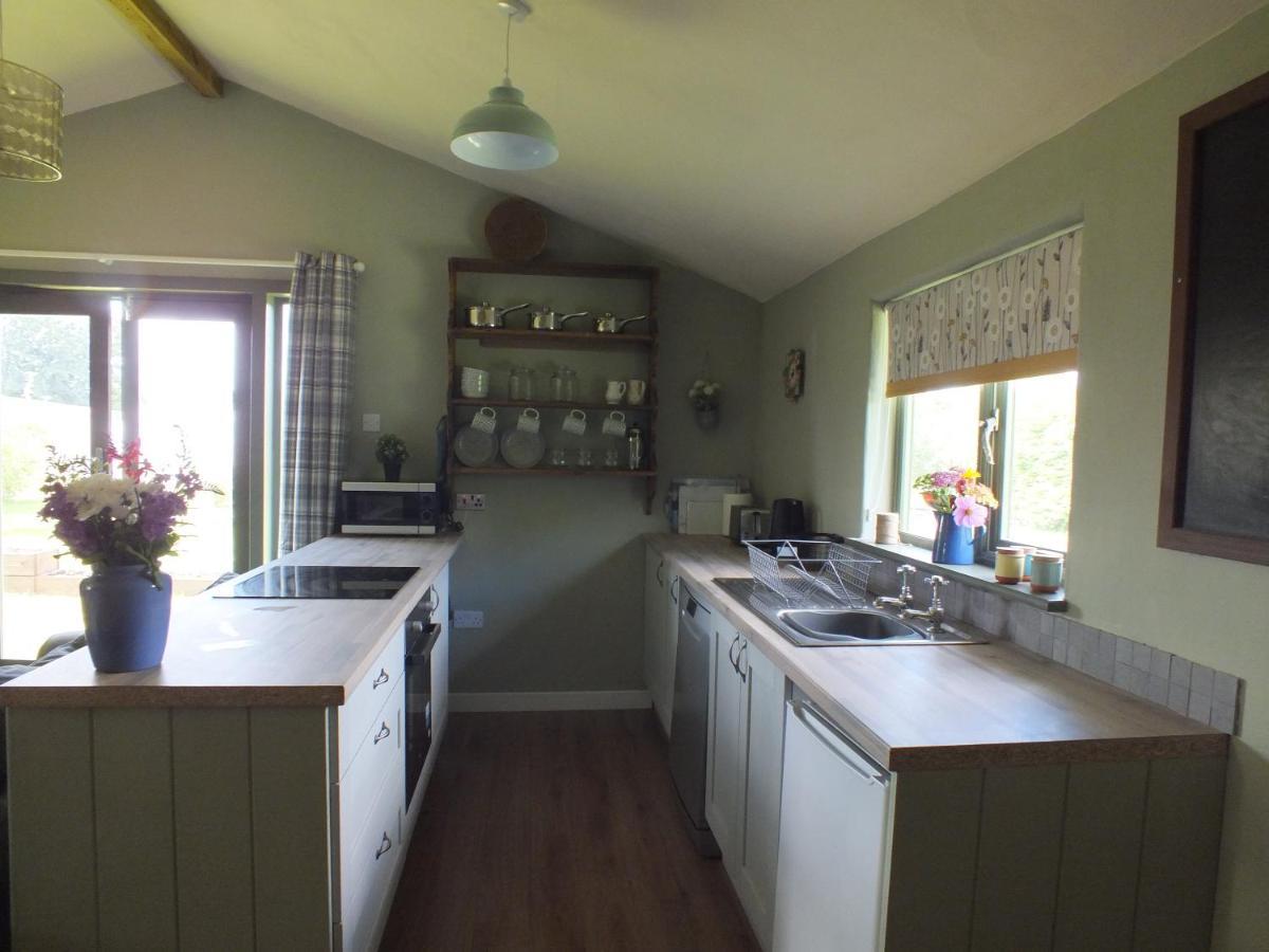 The Potting Shed And The Garden Shed Self Catering Villa Carmarthen Esterno foto