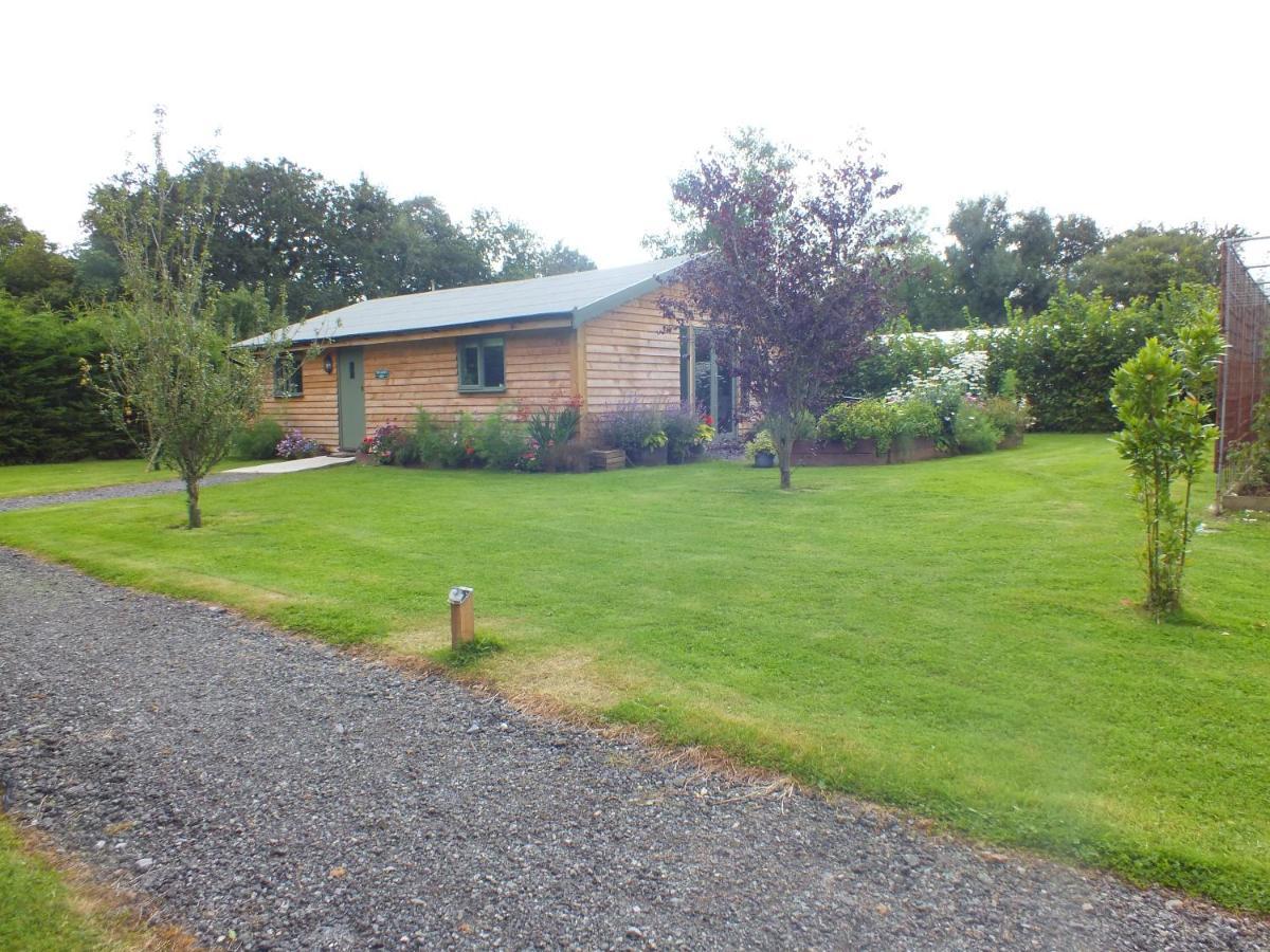 The Potting Shed And The Garden Shed Self Catering Villa Carmarthen Esterno foto