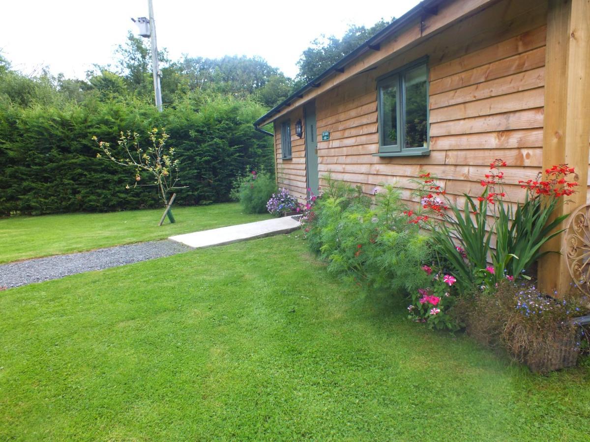 The Potting Shed And The Garden Shed Self Catering Villa Carmarthen Esterno foto