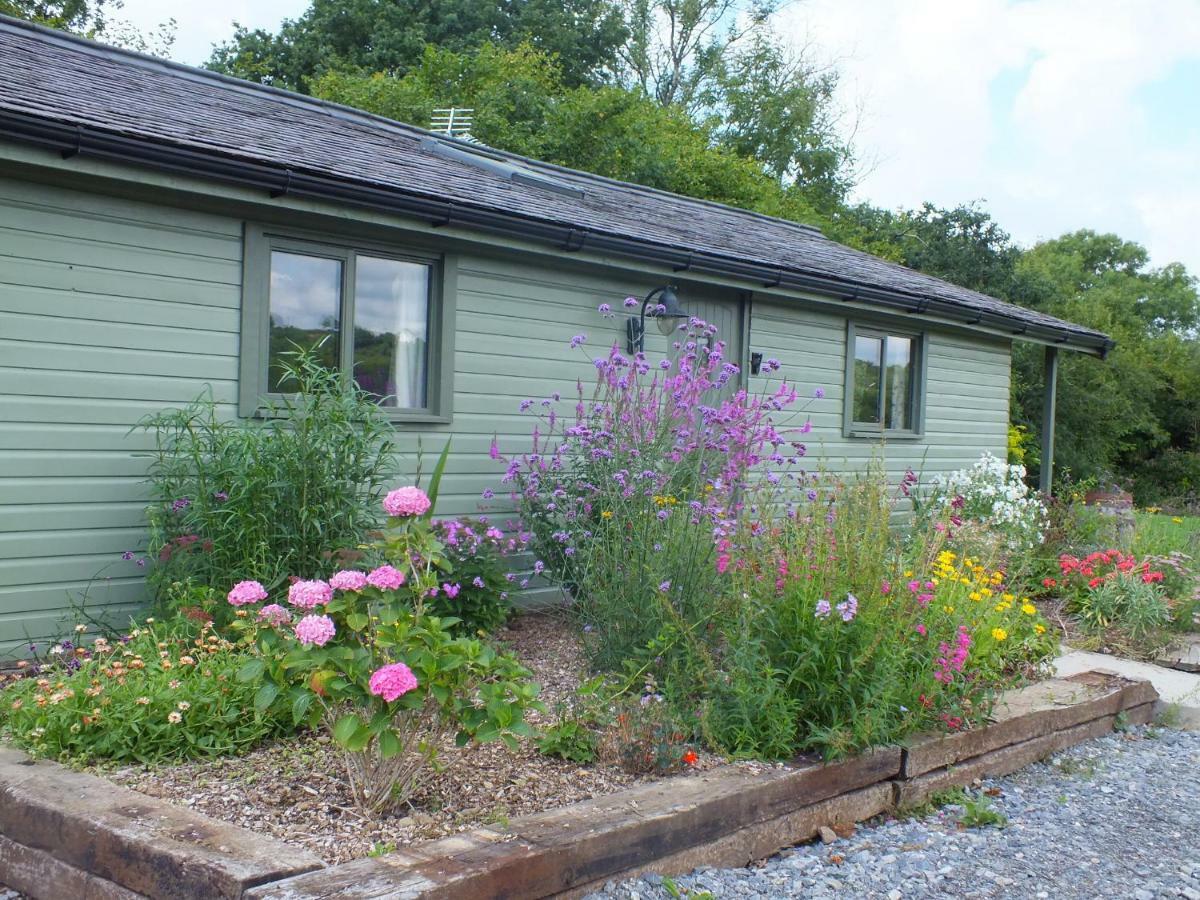 The Potting Shed And The Garden Shed Self Catering Villa Carmarthen Esterno foto