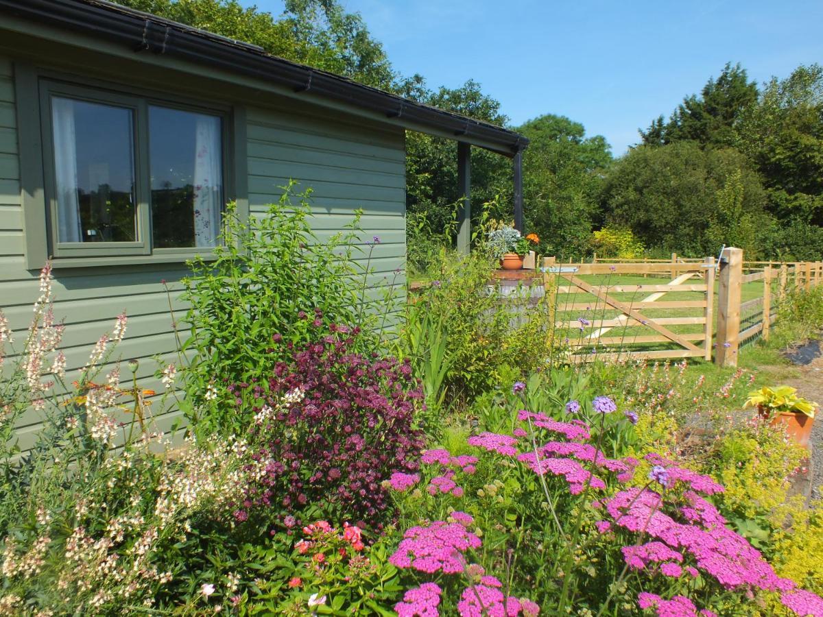 The Potting Shed And The Garden Shed Self Catering Villa Carmarthen Esterno foto